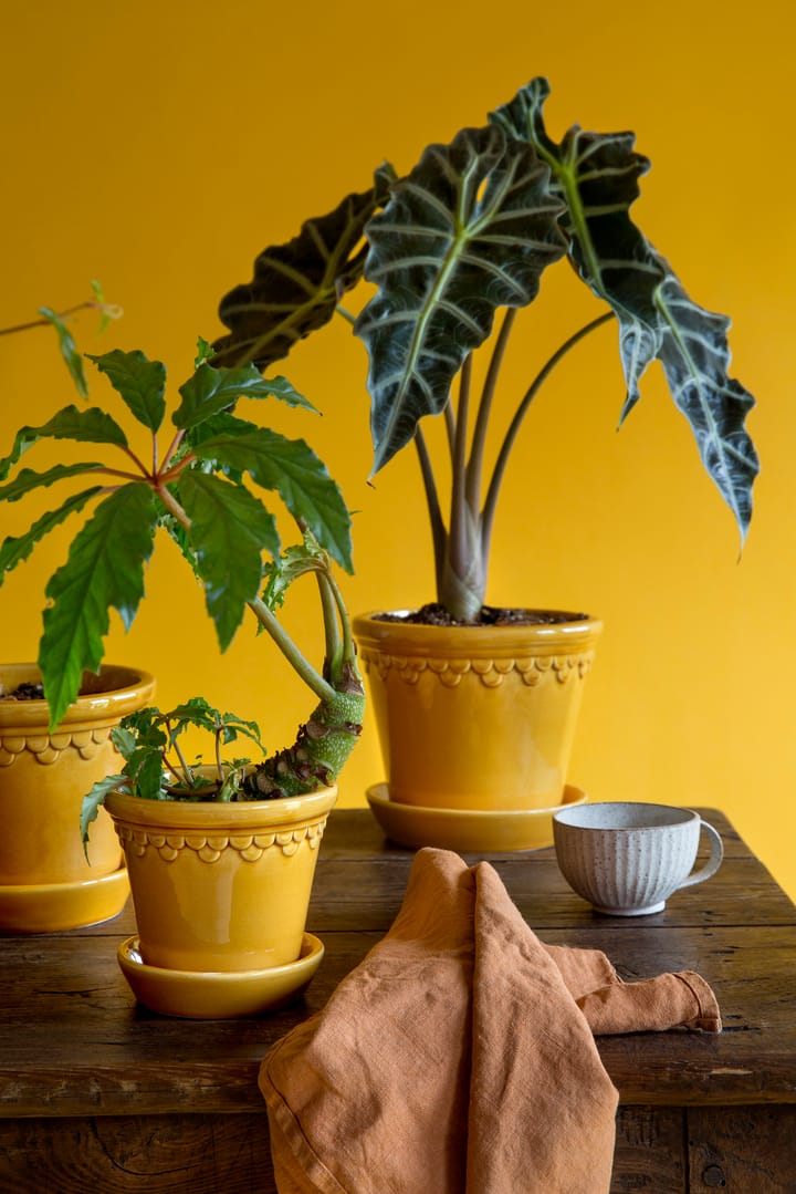 코펜하겐 유광 토분 18 cm, Amber Yellow Bergs Potter | 베르그 포터