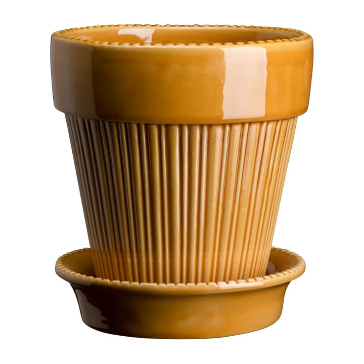 시모나 유광 토분 18 cm - Amber Yellow - Bergs Potter | 베르그 포터
