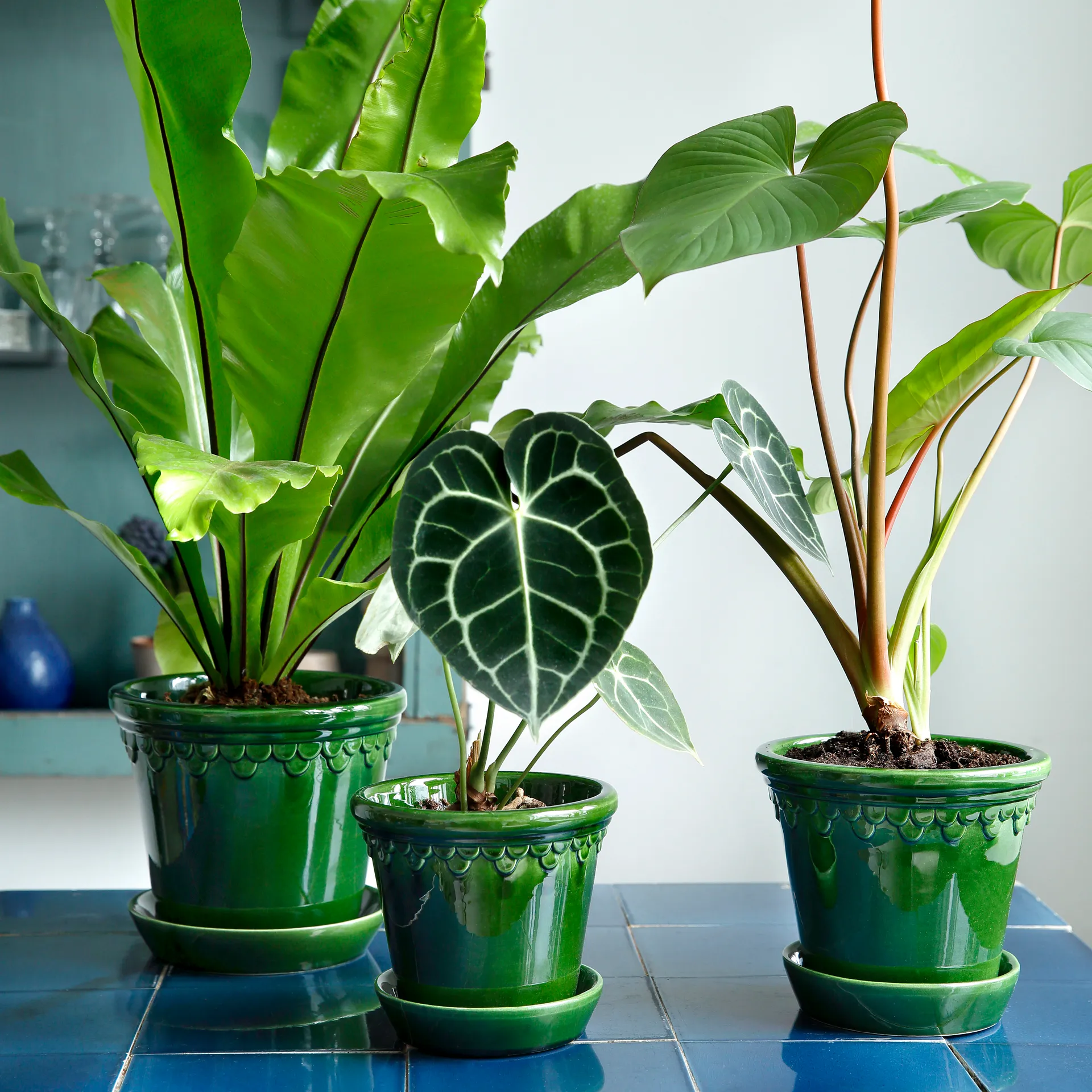 코펜하겐 유광 토분 18 cm, Emerald Green Bergs Potter | 베르그 포터