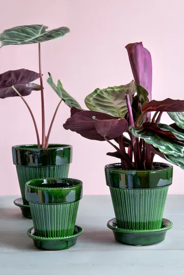 시모나 유광 토분 18 cm - Emerald Green - Bergs Potter | 베르그 포터