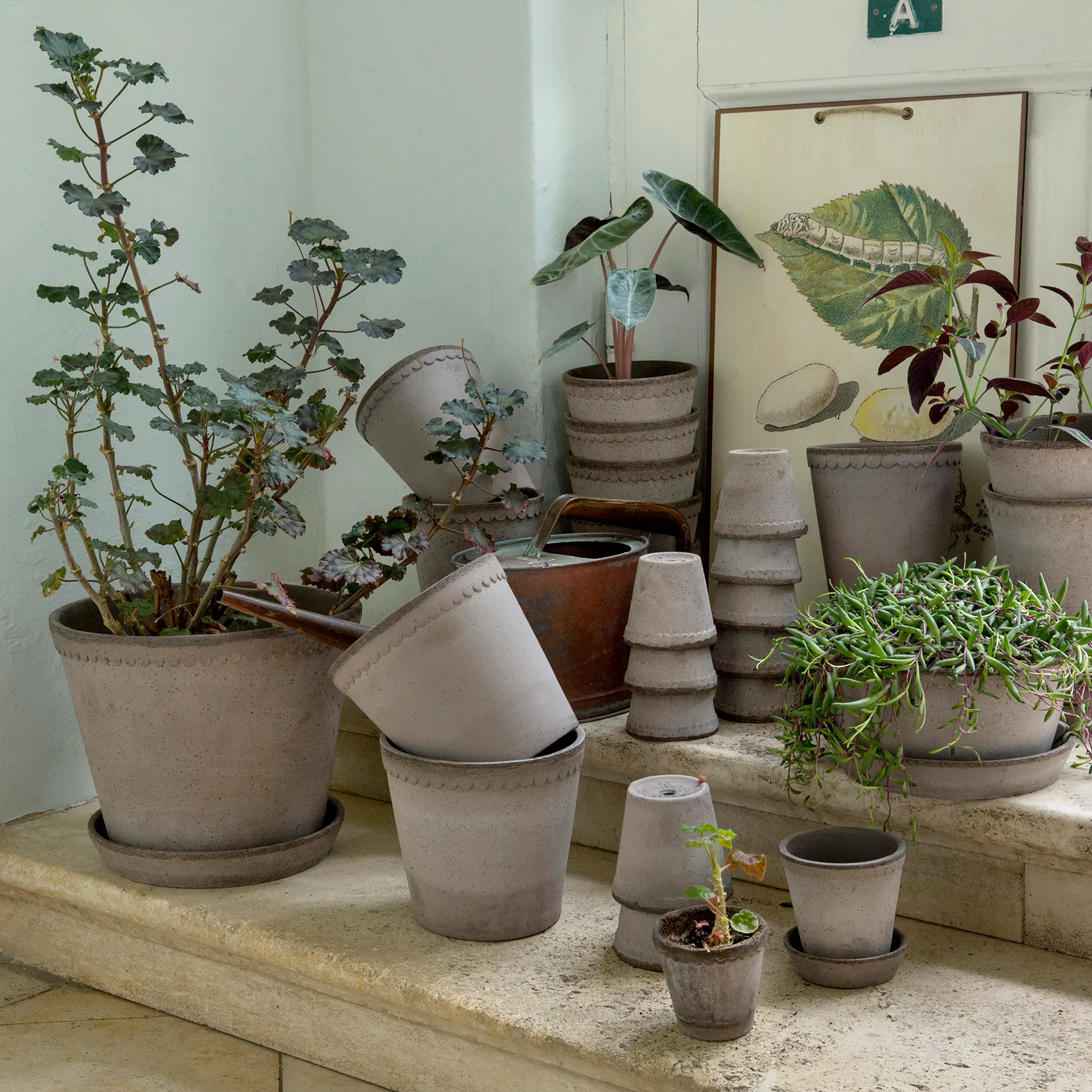 헬레나 토분 18 cm, Grey Bergs Potter | 베르그 포터