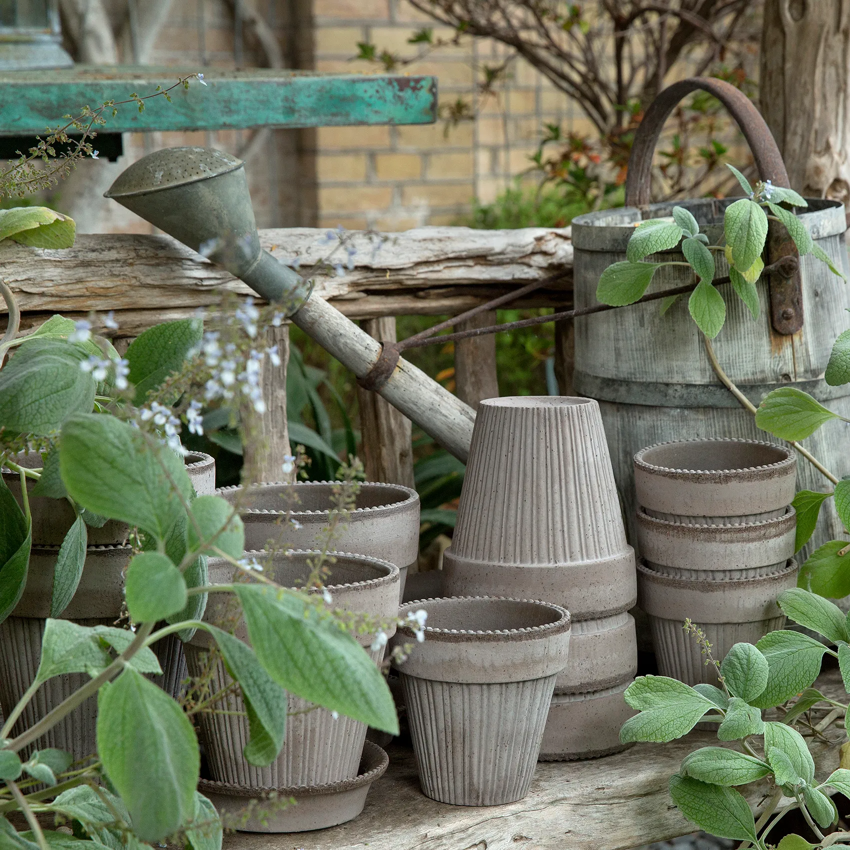 시모나 토분 18 cm, Grey Bergs Potter | 베르그 포터