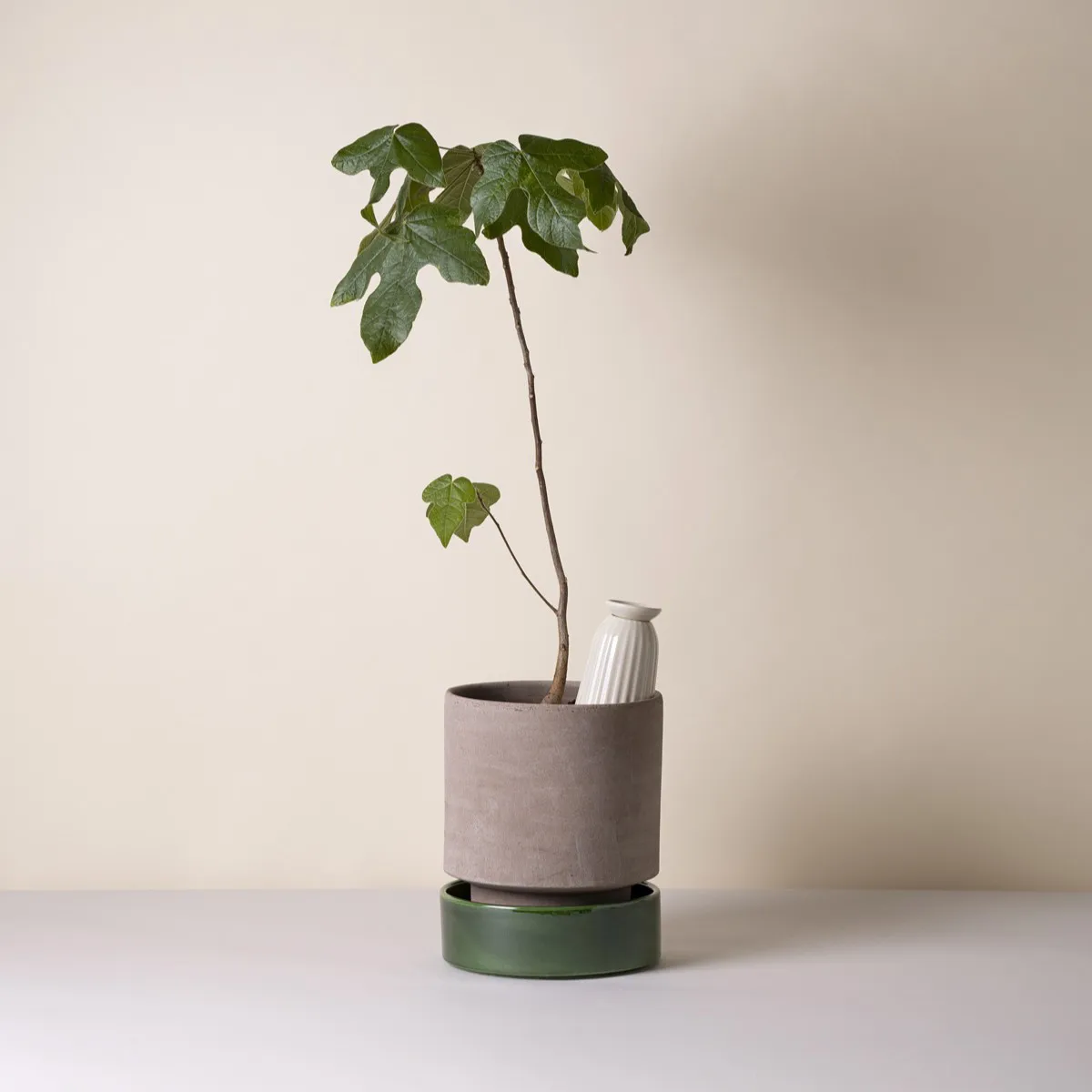 호프 화분, Ø18 cm, Raw Grey-Emerald Green Bergs Potter | 베르그 포터