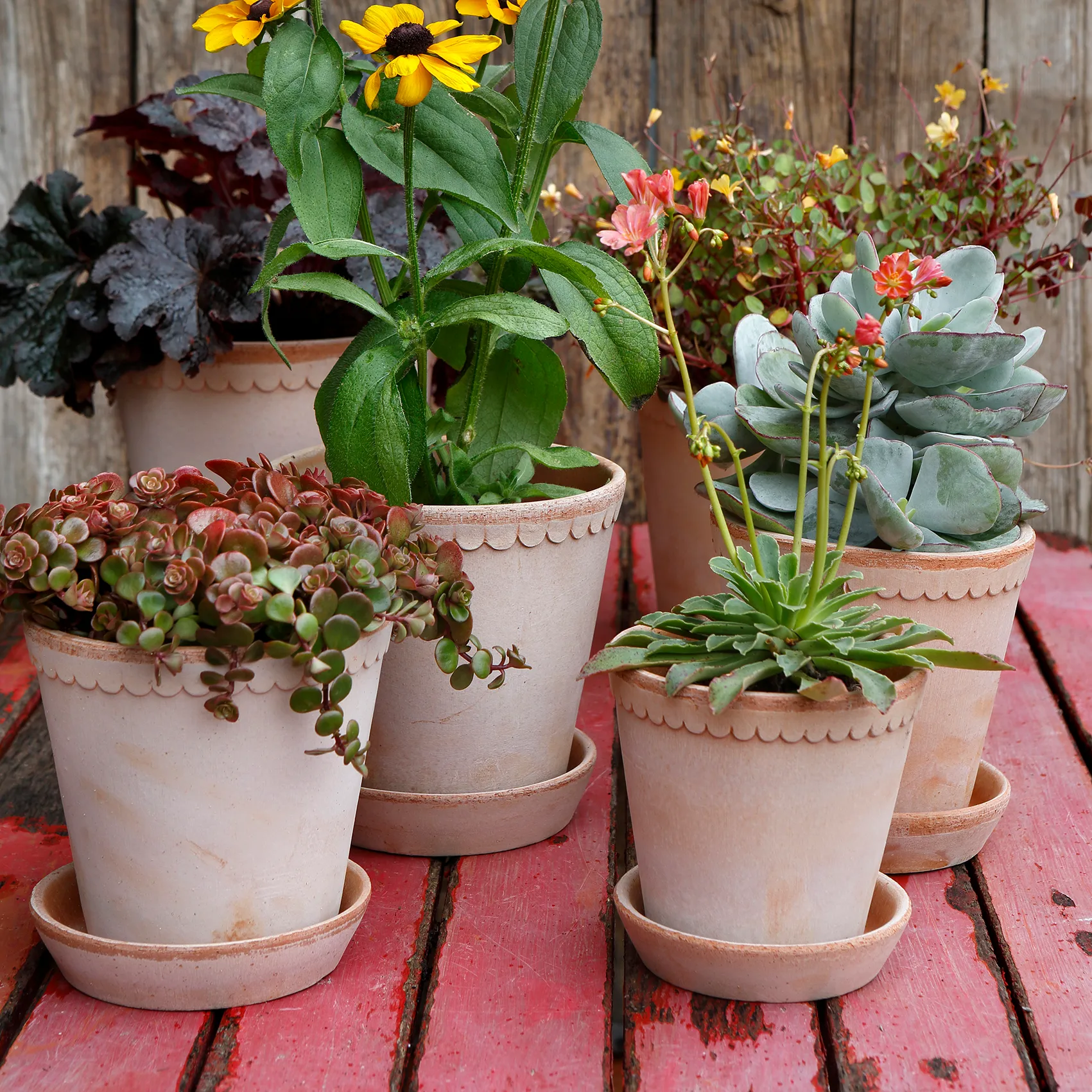 헬레나 토분 18 cm, Rosa Bergs Potter | 베르그 포터