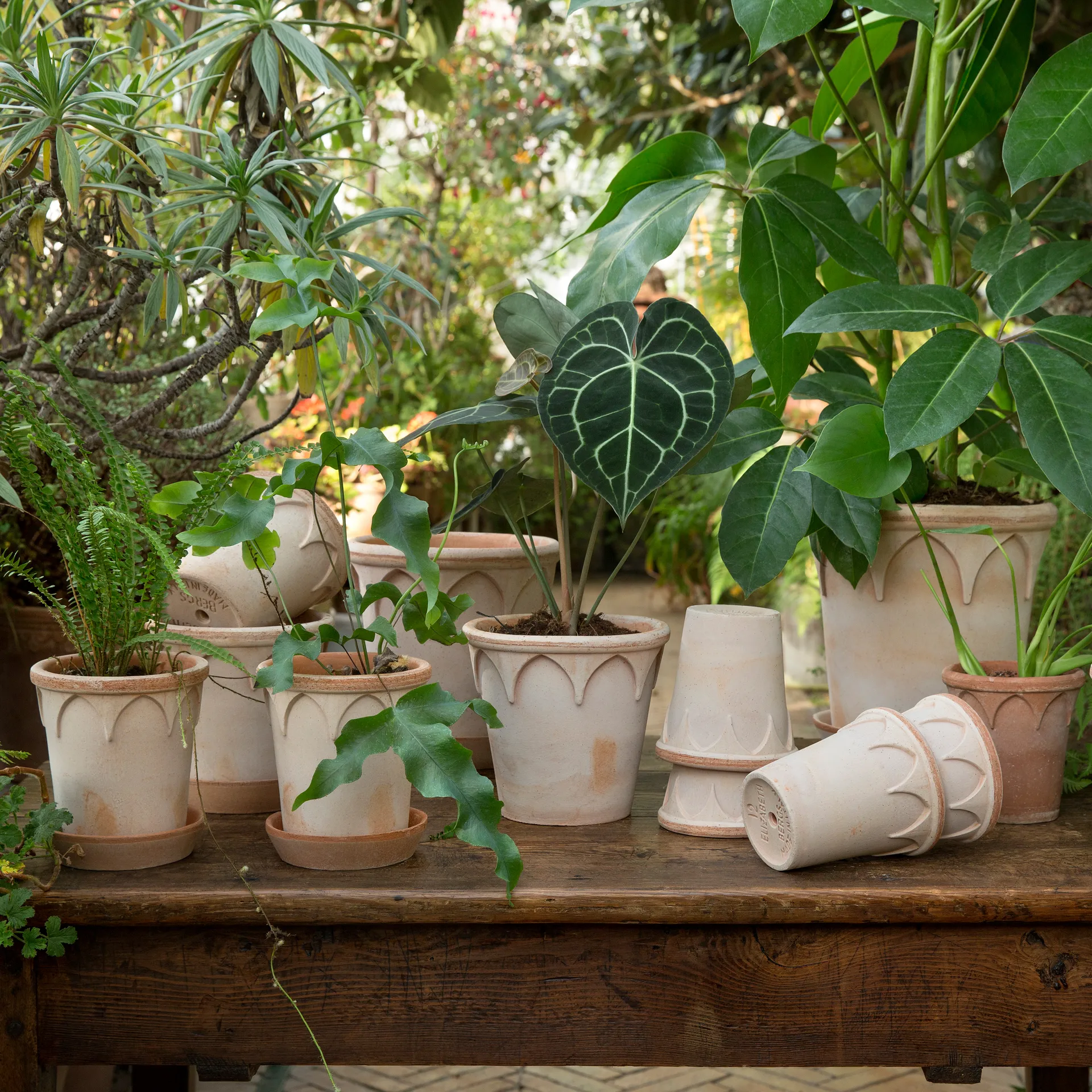 엘리자베스 토분 18 cm, Rosa Bergs Potter | 베르그 포터