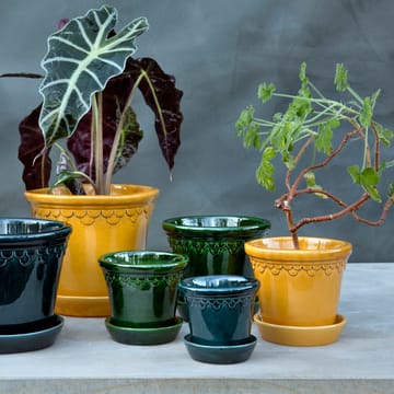 코펜하겐 유광 토분 18 cm - Yellow - Bergs Potter | 베르그 포터