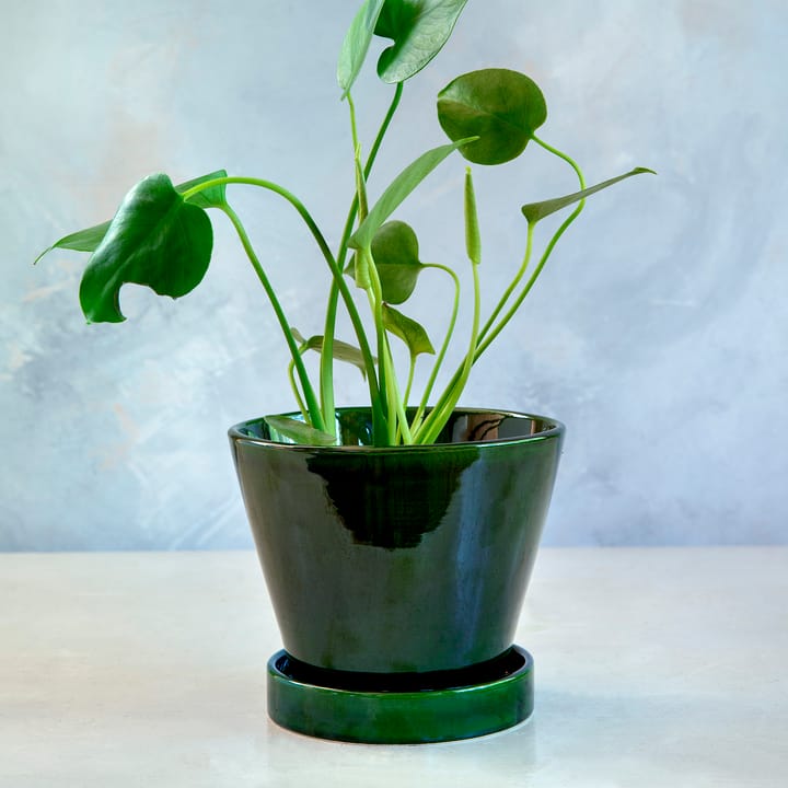 줄리 유광 토분 19 cm, Emerald Green emerald Bergs Potter | 베르그 포터