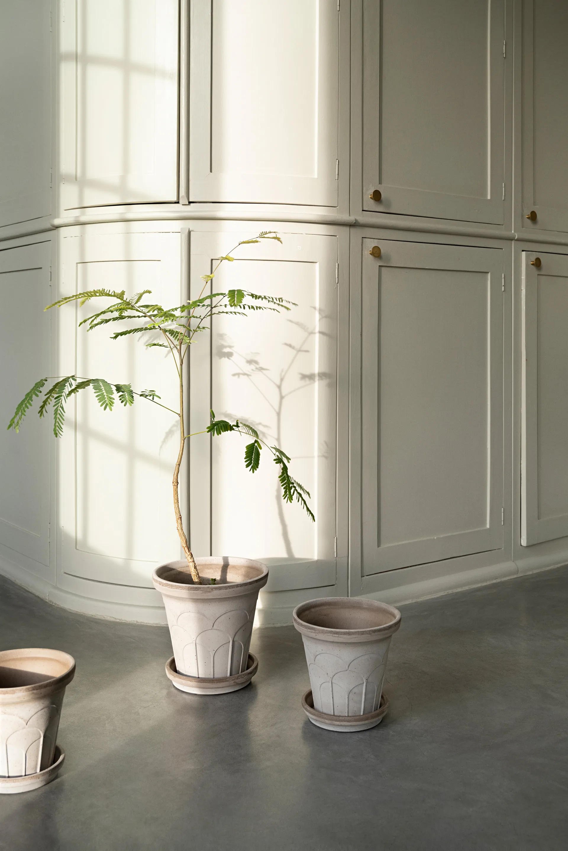 플뢰르 플라워팟(받침 포함) 2개 세트, Grey, Ø16 cm Bergs Potter | 베르그 포터