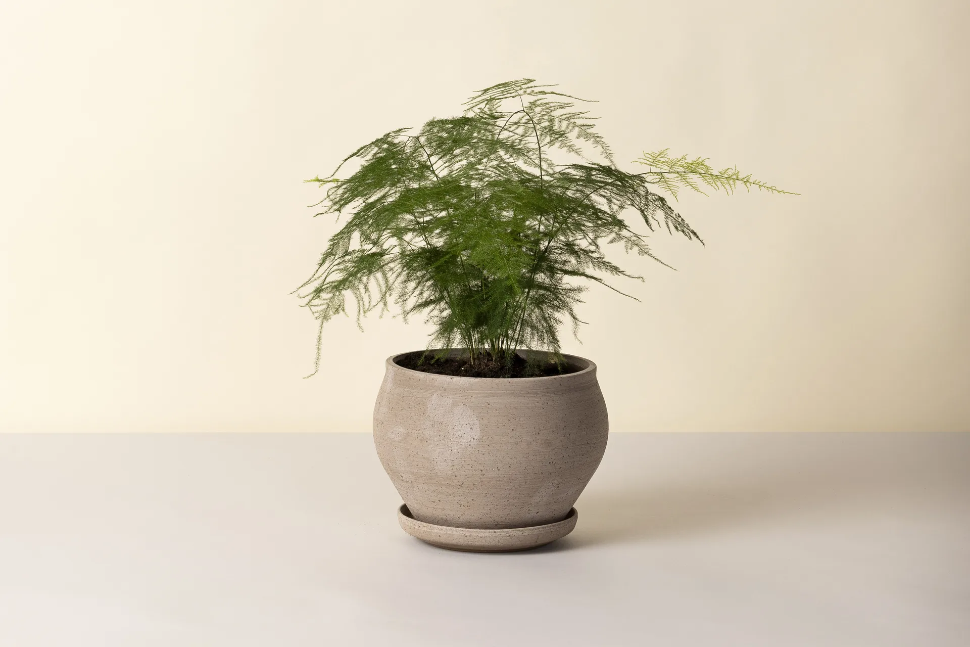 델피 플라워팟(받침 포함) 2개 세트, Grey, Ø24 cm, low Bergs Potter | 베르그 포터