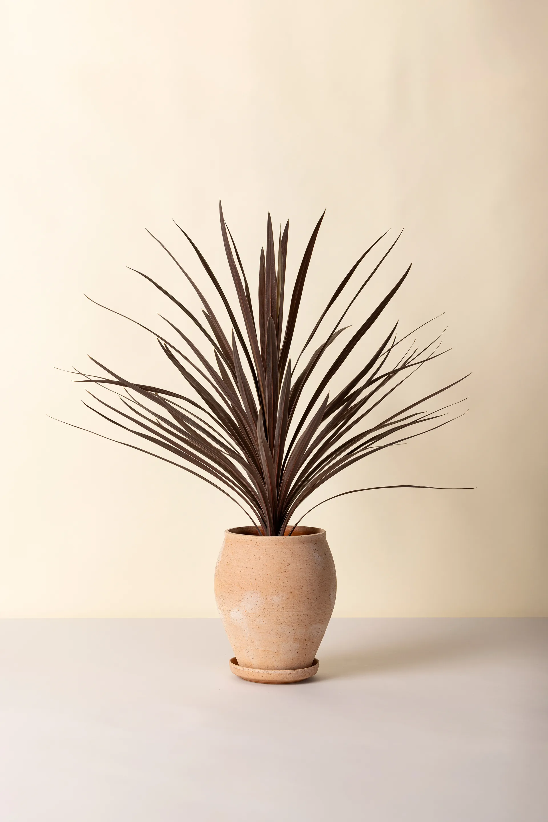 델피 플라워팟(받침 포함) 2개 세트, Pink, Ø22 cm, tall Bergs Potter | 베르그 포터