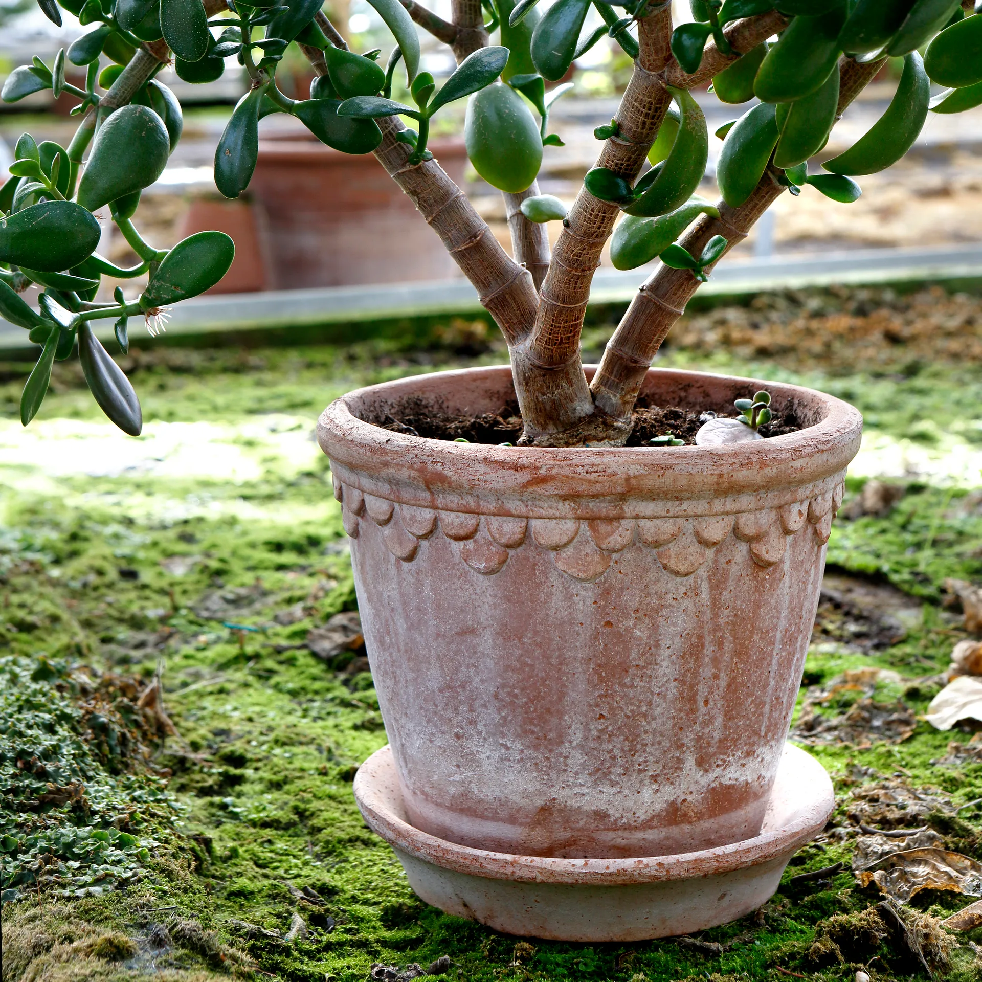 코펜하겐 토분 21 cm, Rosa Bergs Potter | 베르그 포터