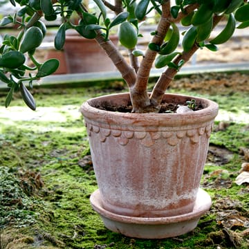 코펜하겐 토분 21 cm - Rosa - Bergs Potter | 베르그 포터