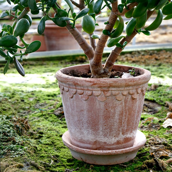 코펜하겐 팟 21 cm, Rose Bergs Potter | 베르그 포터