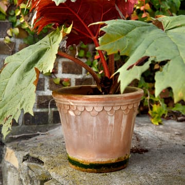 코펜하겐 팟 21 cm - Rose - Bergs Potter | 베르그 포터
