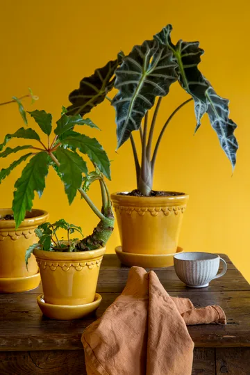 코펜하겐 유광 토분 - Amber Yellow, Ø21 cm - Bergs Potter | 베르그 포터