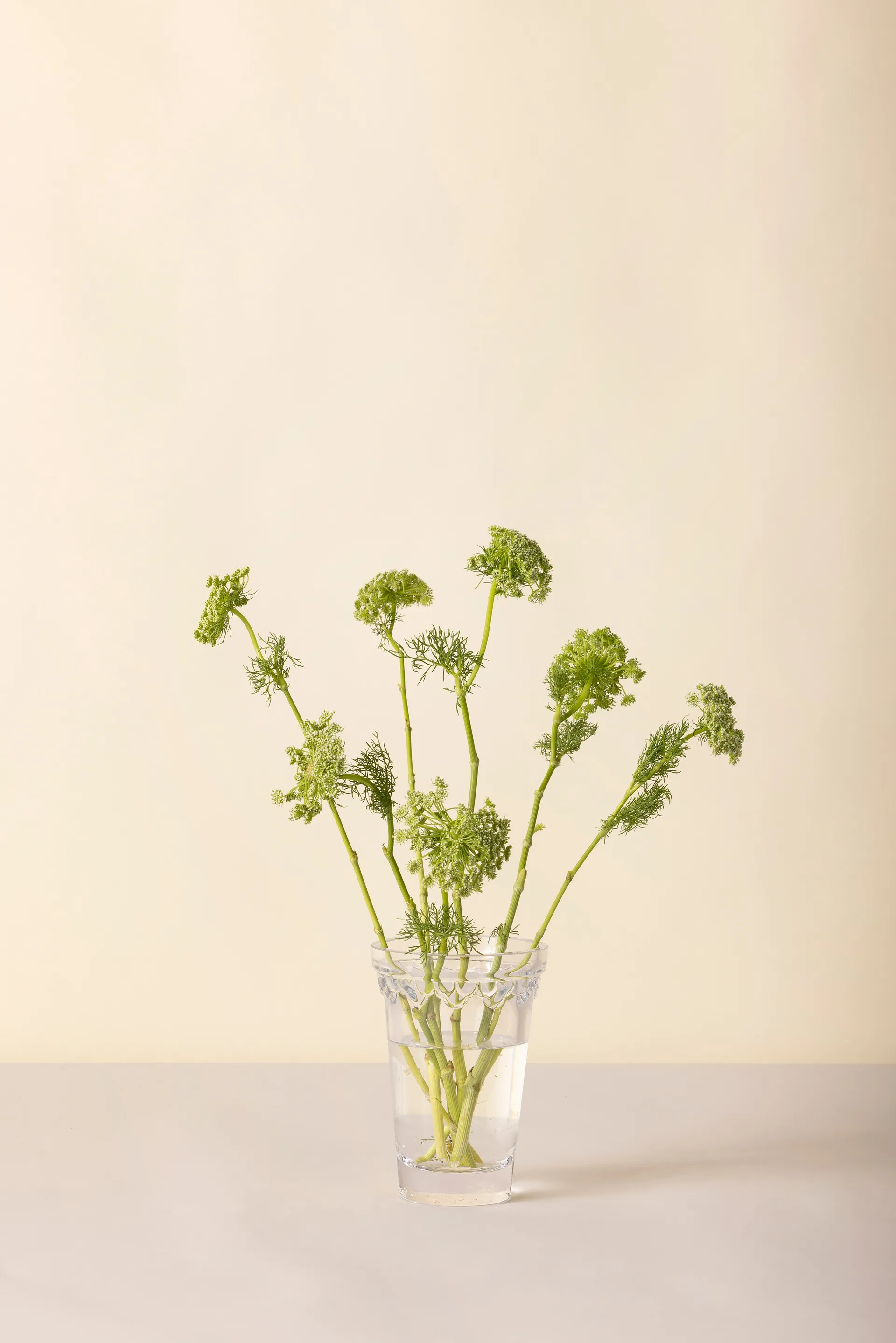 코펜하겐 화병, Clear, 18.5 cm Bergs Potter | 베르그 포터