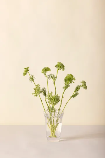 코펜하겐 화병 - Clear, 18.5 cm - Bergs Potter | 베르그 포터