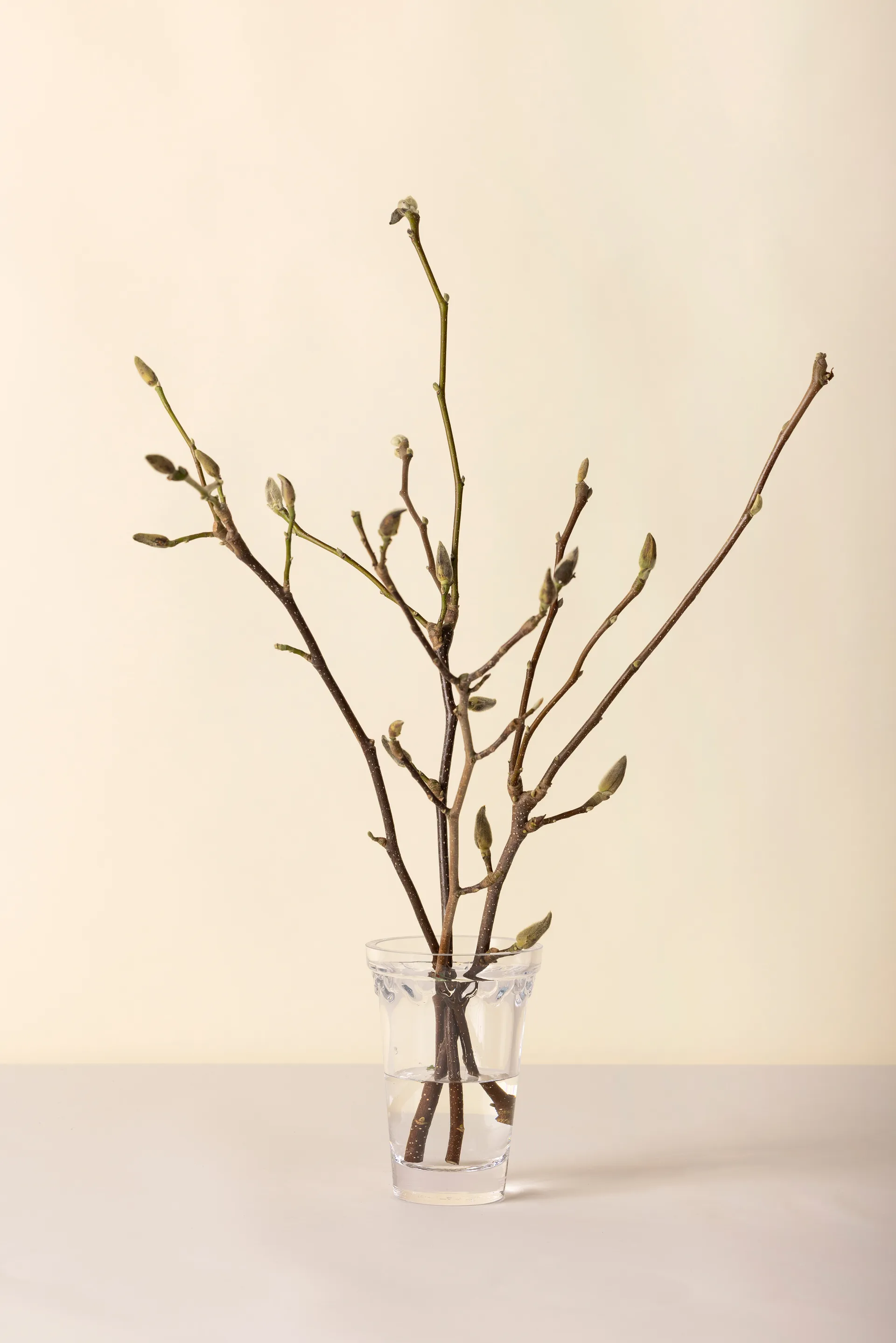 코펜하겐 화병, Clear, 18.5 cm Bergs Potter | 베르그 포터