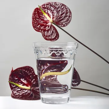 코펜하겐 화병 - Clear, 21 cm - Bergs Potter | 베르그 포터