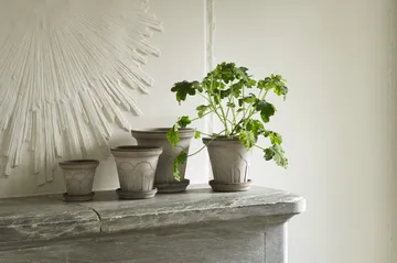 플뢰르 플라워팟(받침 포함) - Grey, Ø12 cm - Bergs Potter | 베르그 포터