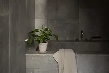 플뢰르 플라워팟(받침 포함) - Grey, Ø14 cm - Bergs Potter | 베르그 포터