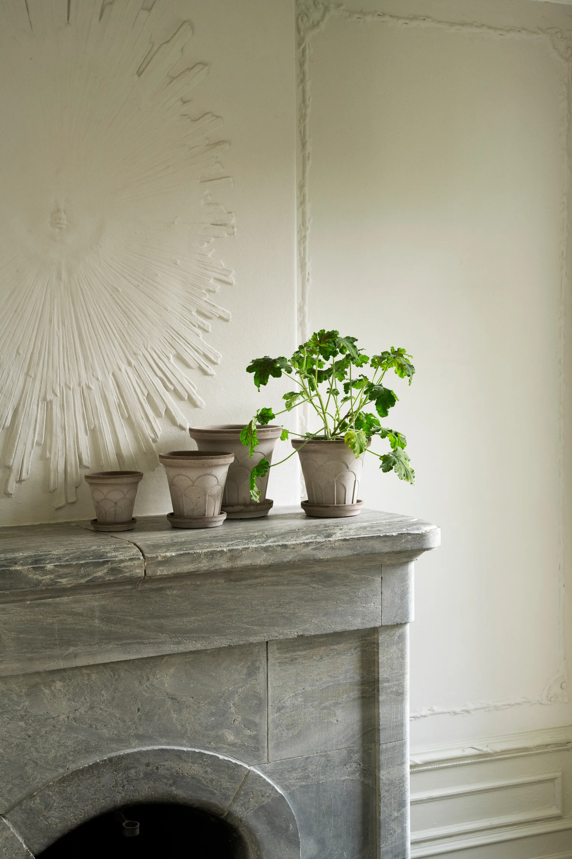 플뢰르 플라워팟(받침 포함), Grey, Ø16 cm Bergs Potter | 베르그 포터