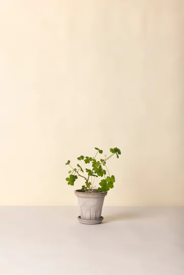 플뢰르 플라워팟(받침 포함) - Grey, Ø16 cm - Bergs Potter | 베르그 포터