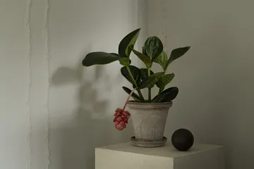 플뢰르 플라워팟(받침 포함) - Grey, Ø18 cm - Bergs Potter | 베르그 포터