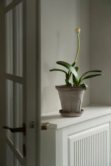 플뢰르 플라워팟(받침 포함) - Grey, Ø18 cm - Bergs Potter | 베르그 포터