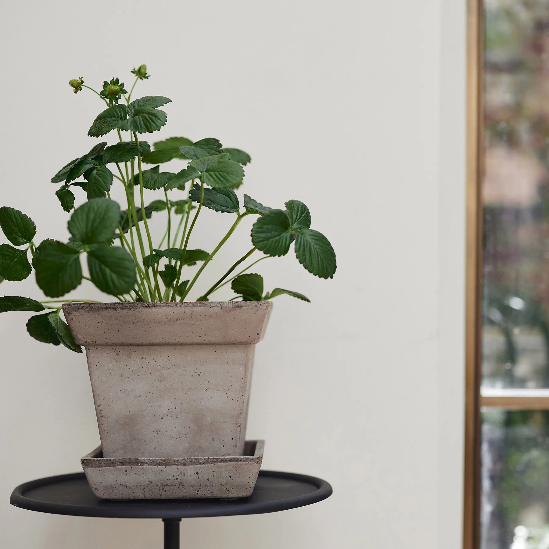 가이아 로우 토분, Grey, Ø21 cm Bergs Potter | 베르그 포터