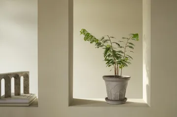 플뢰르 플라워팟(받침 포함) - Grey, Ø21 cm - Bergs Potter | 베르그 포터