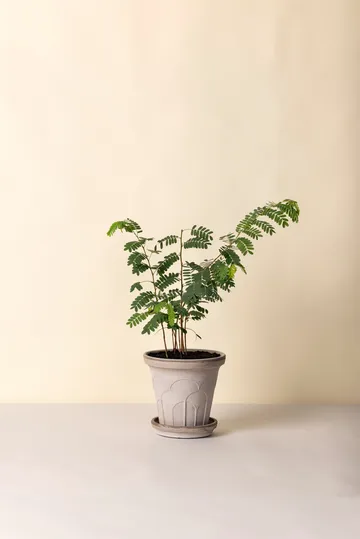 플뢰르 플라워팟(받침 포함) - Grey, Ø21 cm - Bergs Potter | 베르그 포터