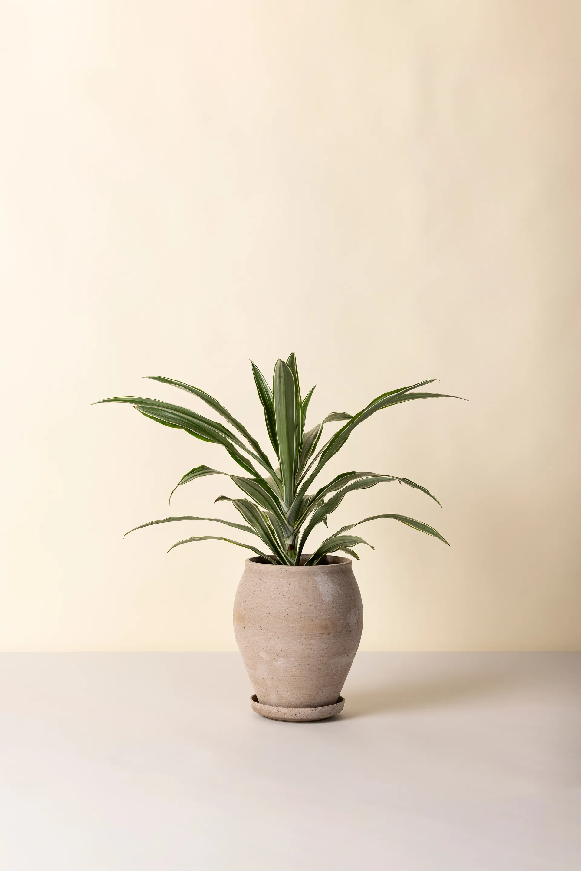 델피 플라워팟(받침 포함), Grey, Ø22 cm, tall Bergs Potter | 베르그 포터