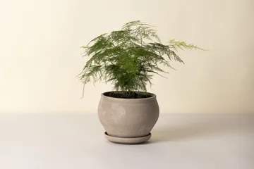 델피 플라워팟(받침 포함) - Grey, Ø24 cm, low - Bergs Potter | 베르그 포터