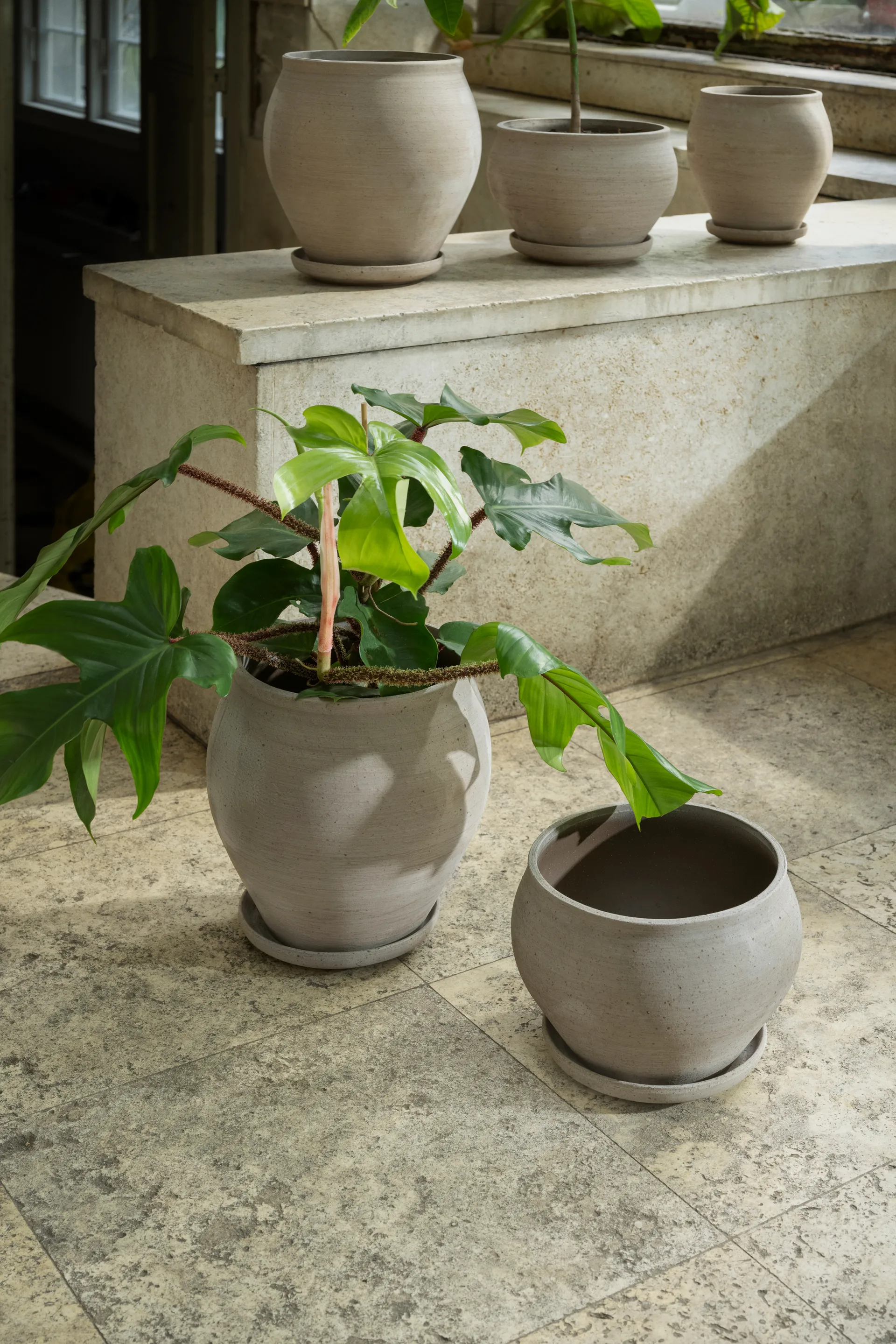 델피 플라워팟(받침 포함), Grey, Ø24 cm, low Bergs Potter | 베르그 포터