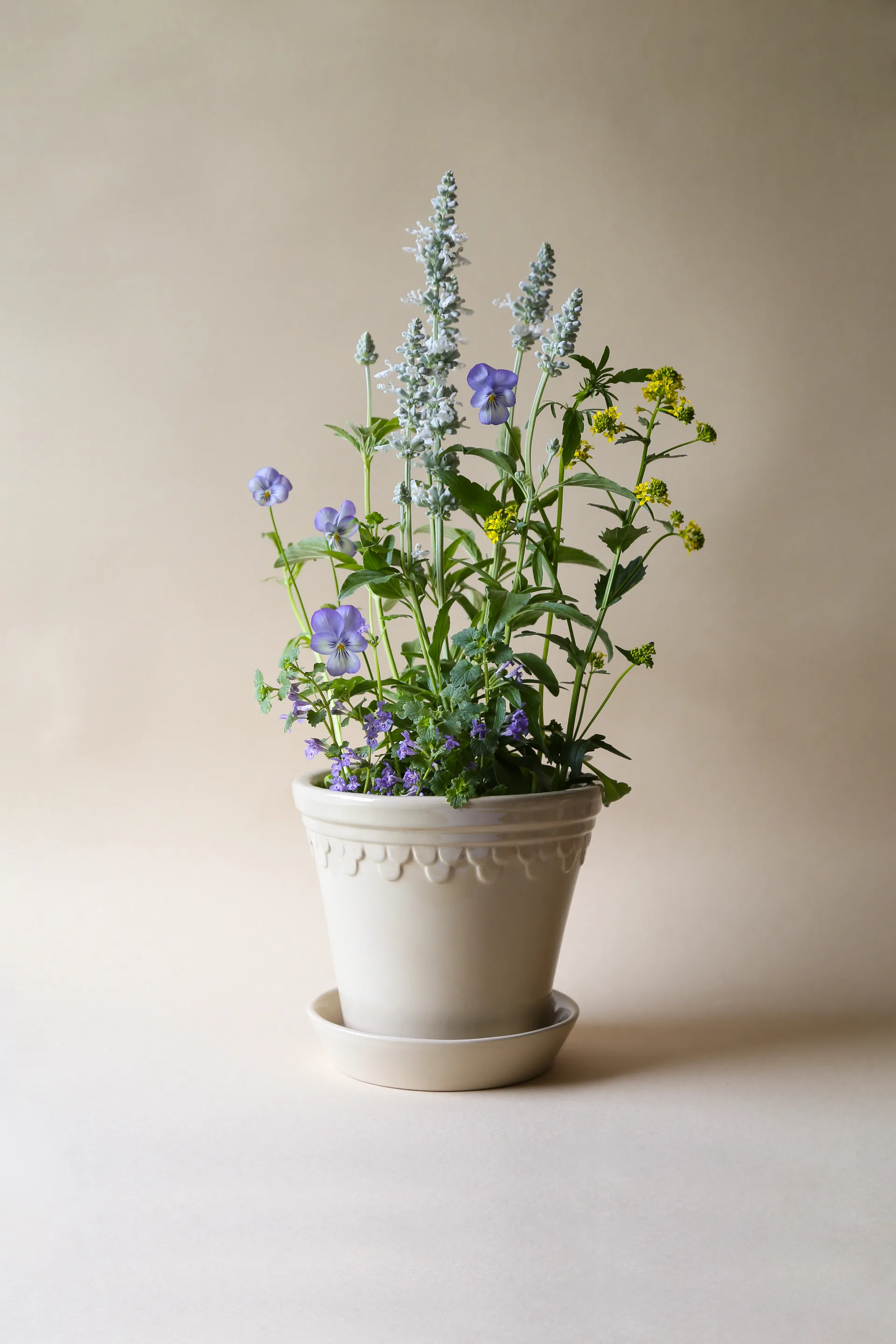Köpenhamn 유약 처리 플라워팟, Sand Stone (beige), Ø10 cm Bergs Potter | 베르그 포터