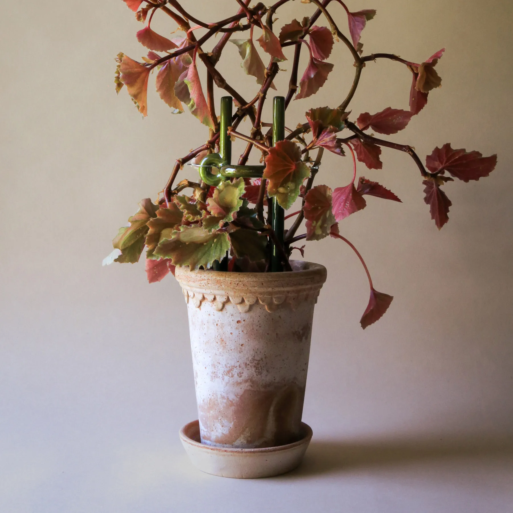 폴크 힌토 플랜트 서포트, Moss Emerald Green Bergs Potter | 베르그 포터