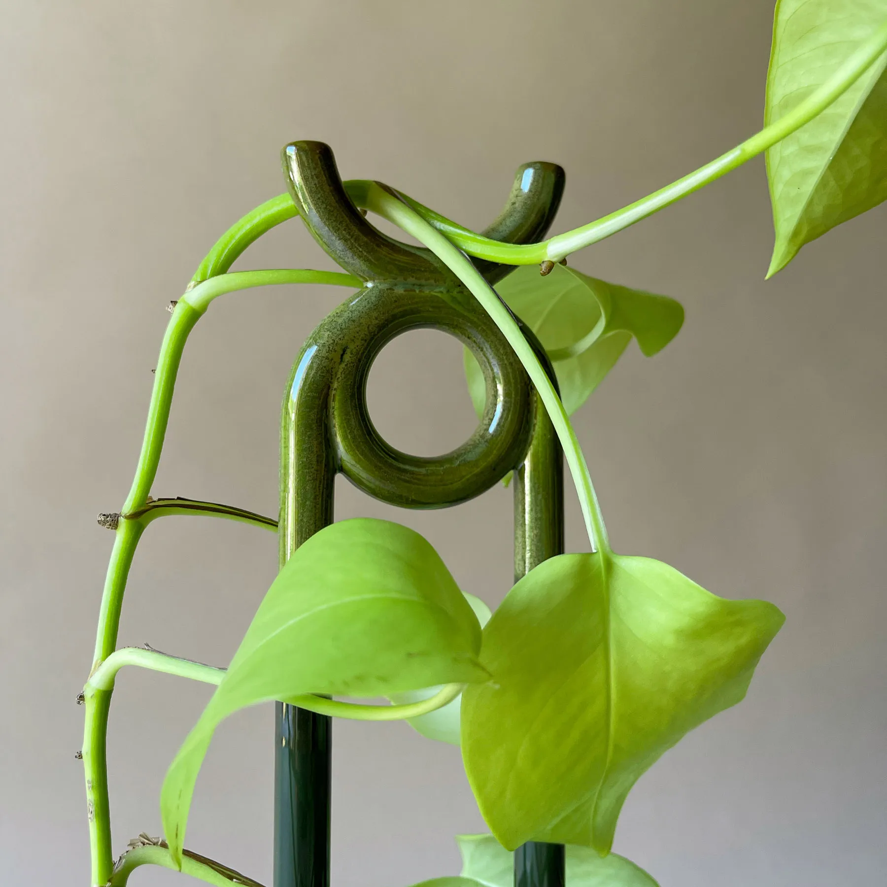 폴크 오니 플랜트 서포트, Moss Emerald Green Bergs Potter | 베르그 포터