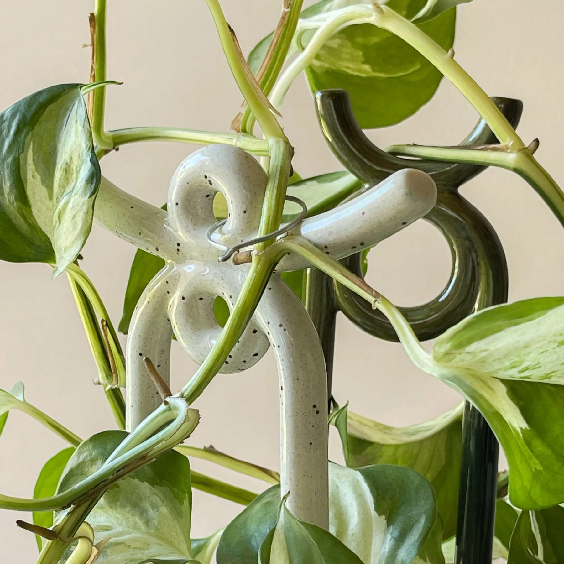 폴크 오니 플랜트 서포트, Moss Emerald Green Bergs Potter | 베르그 포터