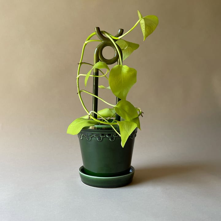 폴크 오니 플랜트 서포트, Moss green Bergs Potter | 베르그 포터