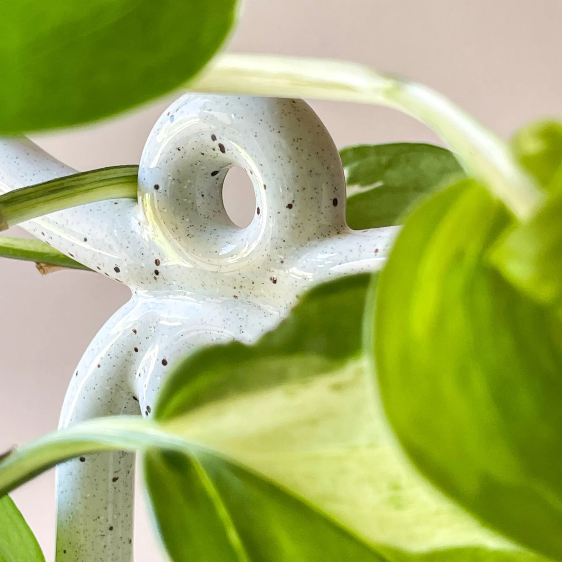 폴크 유마 플랜트 서포트, Pebble White Bergs Potter | 베르그 포터