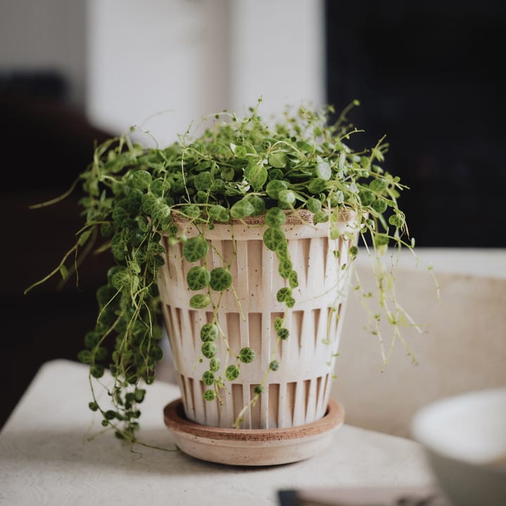 판테온 로우 팟, Pink, Ø14 cm Bergs Potter | 베르그 포터