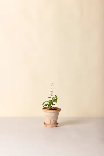 플뢰르 플라워팟(받침 포함) - Pink, Ø14 m - Bergs Potter | 베르그 포터