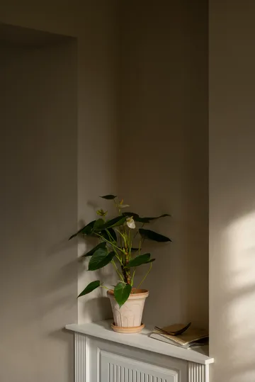 플뢰르 플라워팟(받침 포함) - Pink, Ø16 cm - Bergs Potter | 베르그 포터