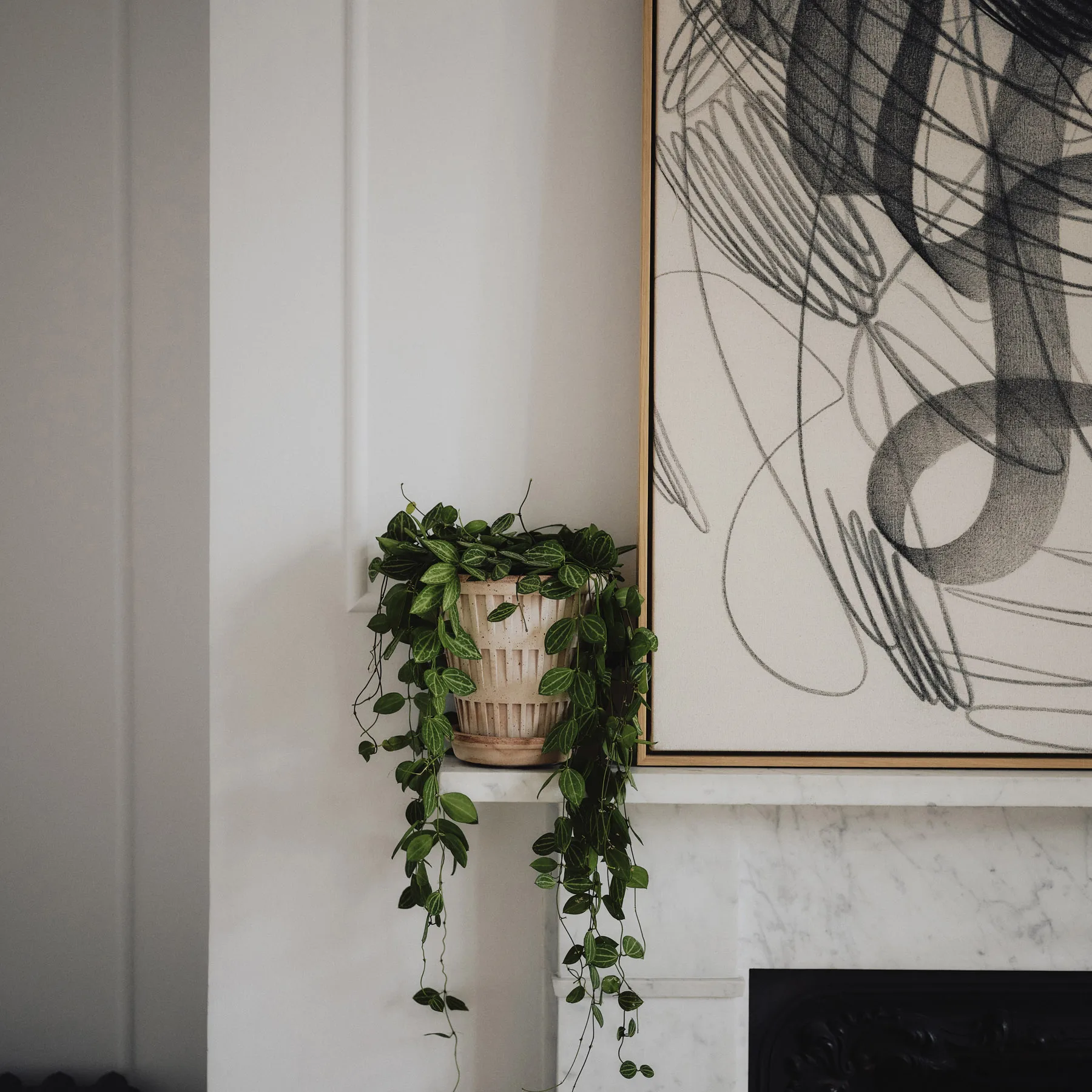 판테온 로우 토분, Rosa, Ø12 cm Bergs Potter | 베르그 포터