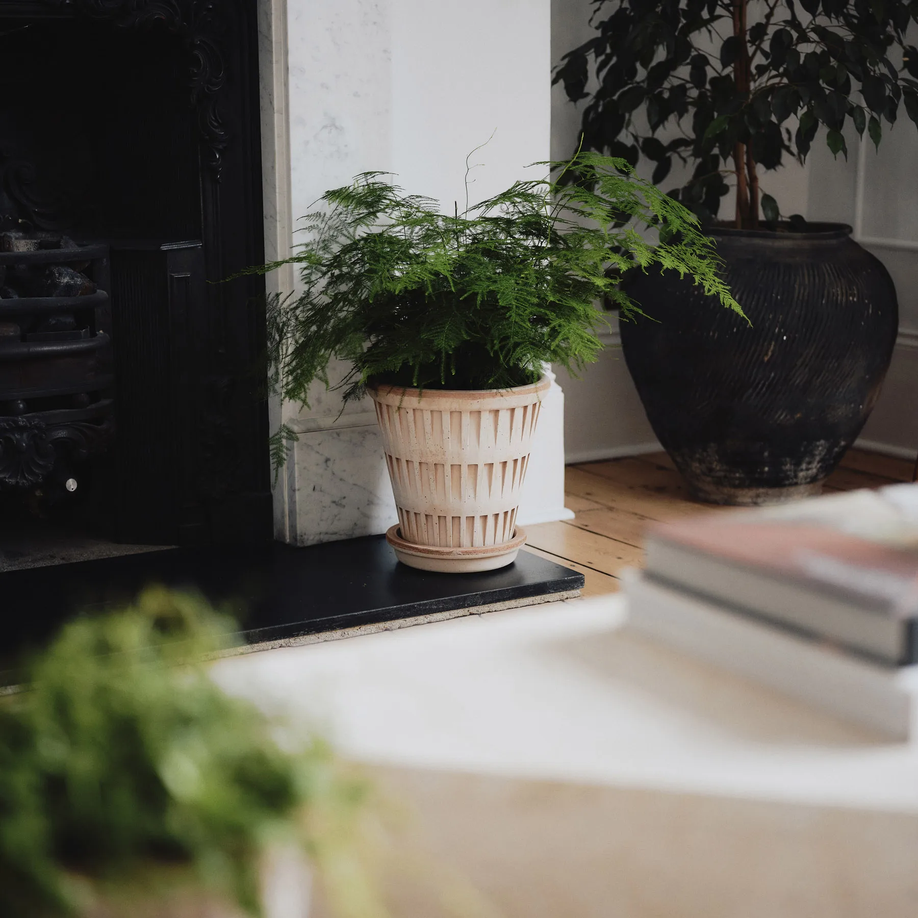 판테온 로우 토분, Rosa, Ø18 cm Bergs Potter | 베르그 포터