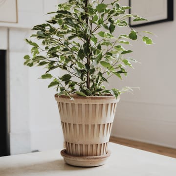 판테온 로우 토분 - Rosa, Ø21 cm - Bergs Potter | 베르그 포터