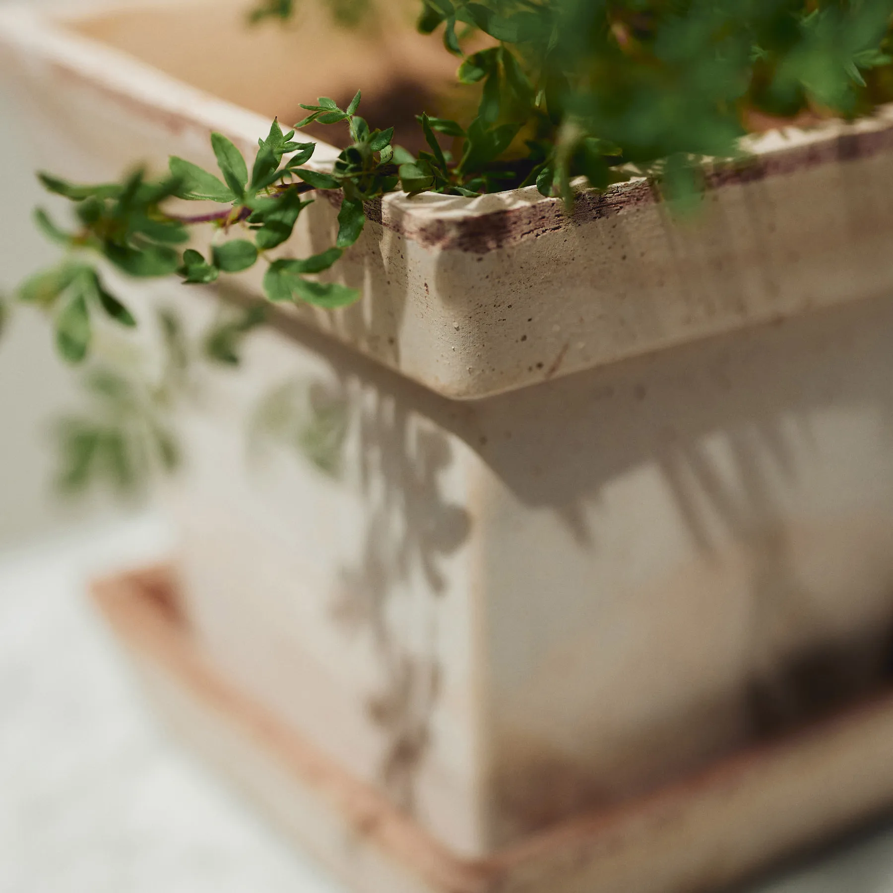 가이아 로우 토분, Rosa, Ø21 cm Bergs Potter | 베르그 포터