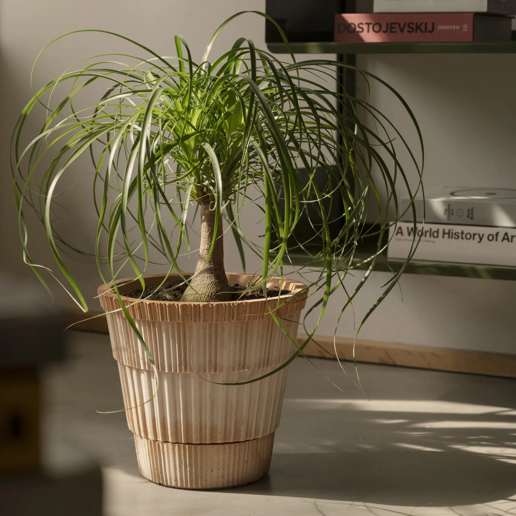 아틀라스 로우 토분, Rosa, Ø25 cm Bergs Potter | 베르그 포터