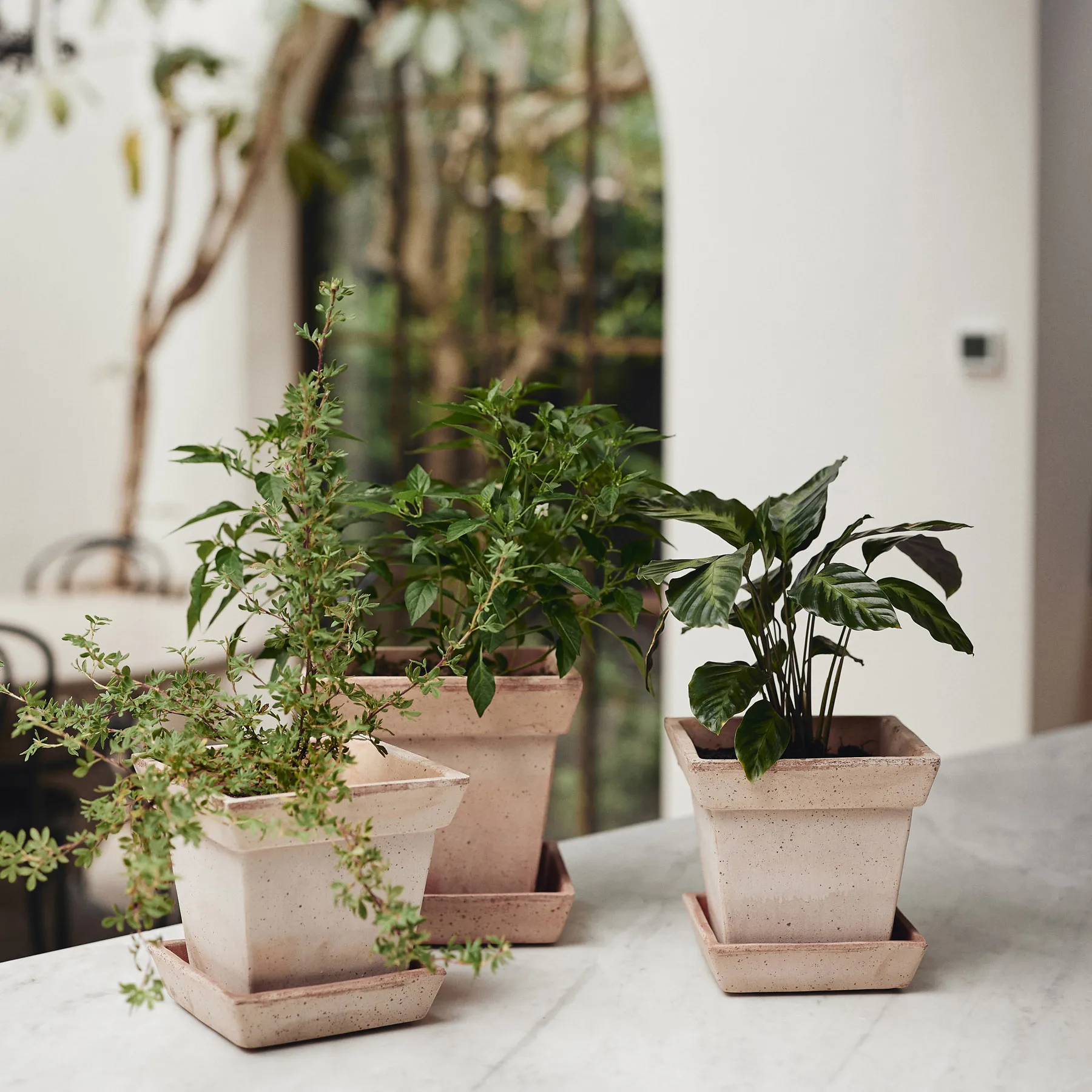 가이아 로우 토분, Rosa, Ø25 cm Bergs Potter | 베르그 포터